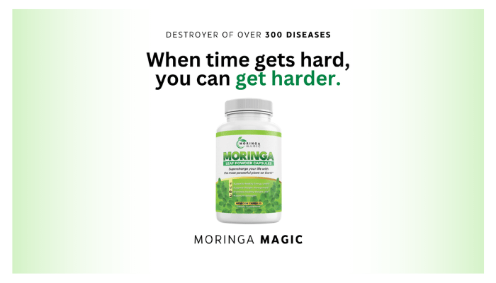 Moringa Magic: The Best Choice